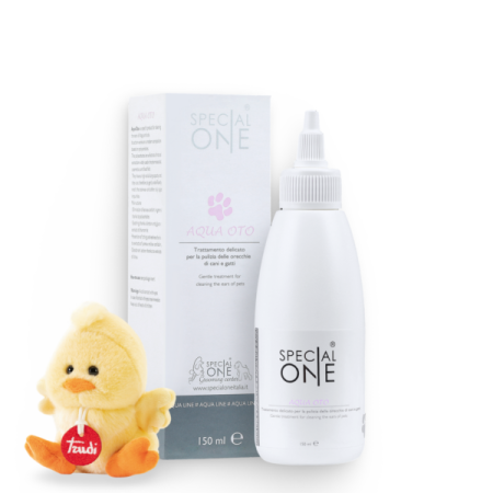 Aqua Oto - Acqua Line