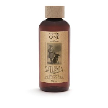 Kit Basic Essential Oil