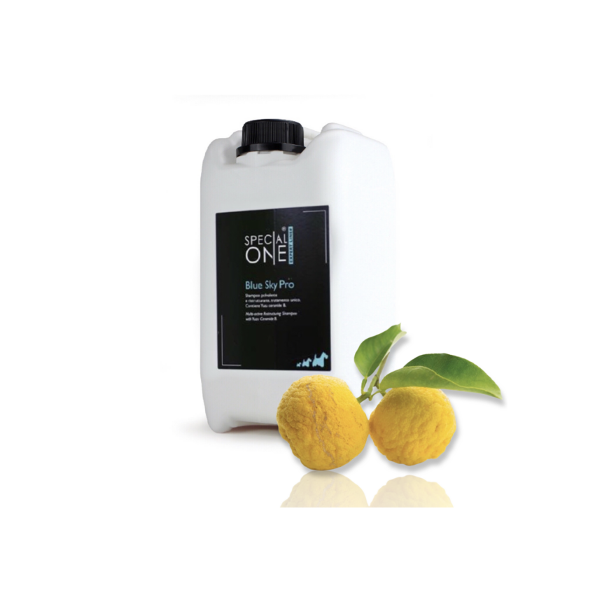 Blue Sky Pro - Expert Line