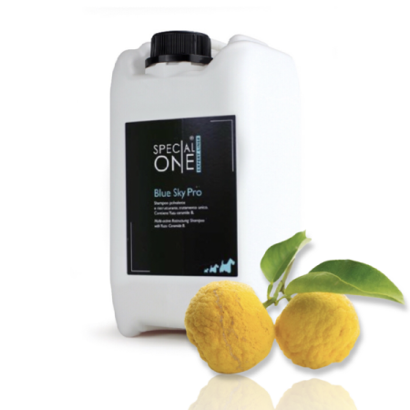 Blue Sky Pro - Expert Line