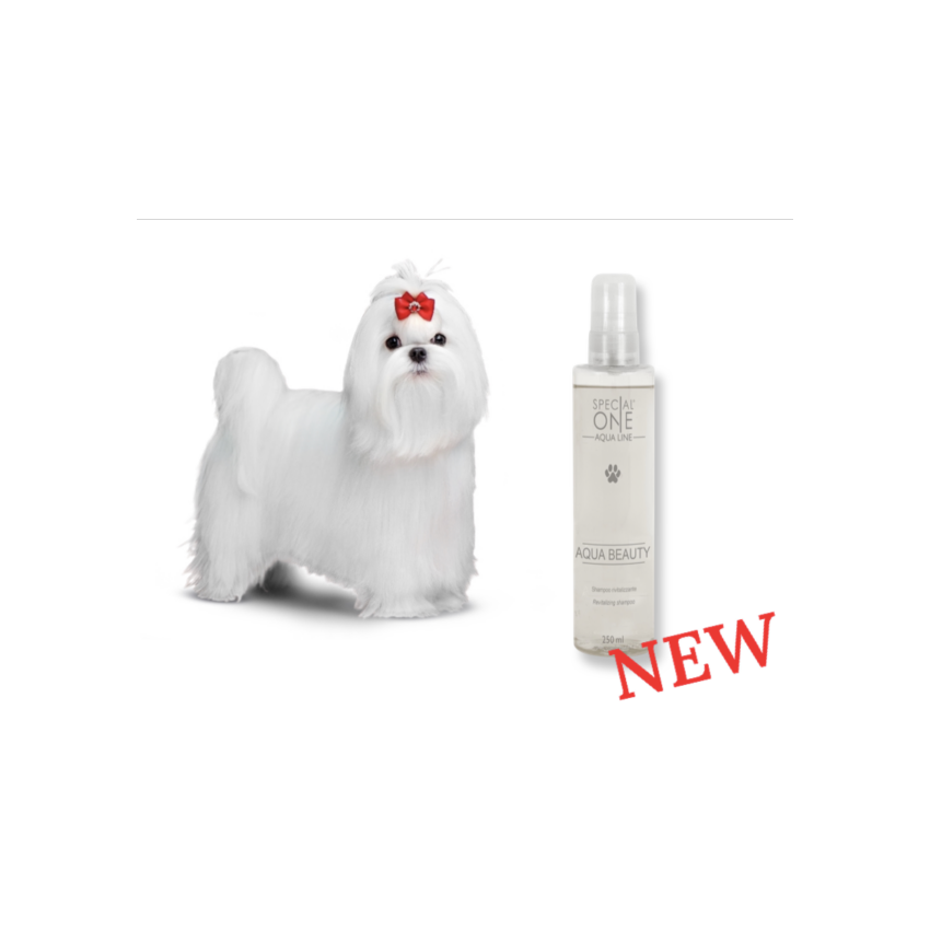 Aqua Beauty - Aqua Line