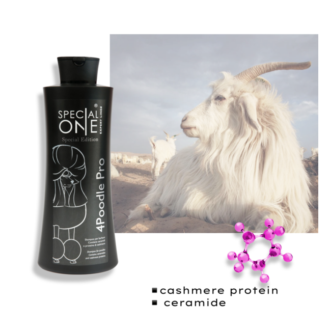 4 Poodle Pro 1000ml - Expert Line 2