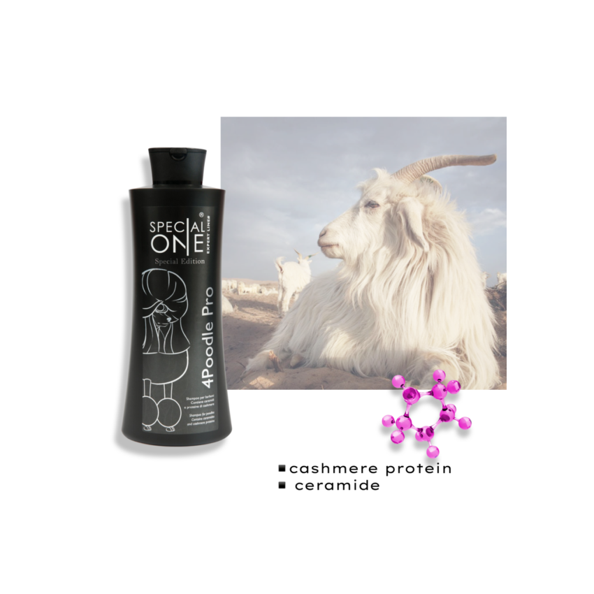 4 Poodle Pro 1000ml - Expert Line
