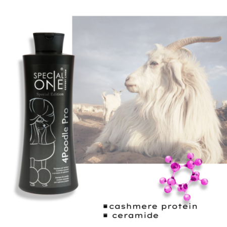 4 Poodle Pro 1000ml - Expert Line