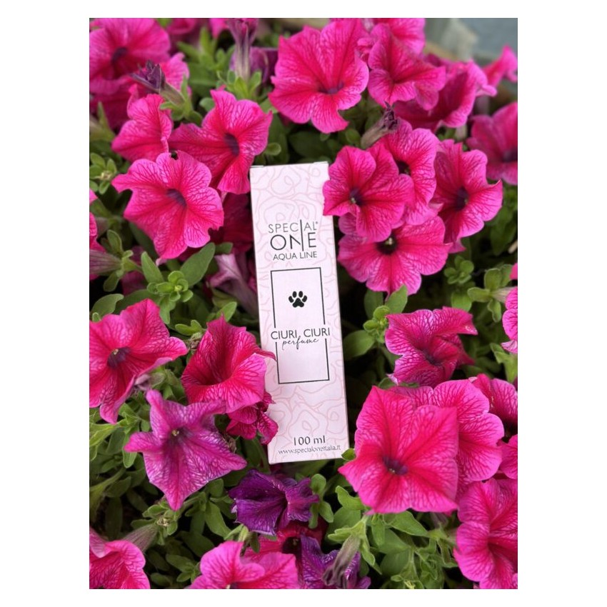 Ciuri Ciuri - Aqua Line