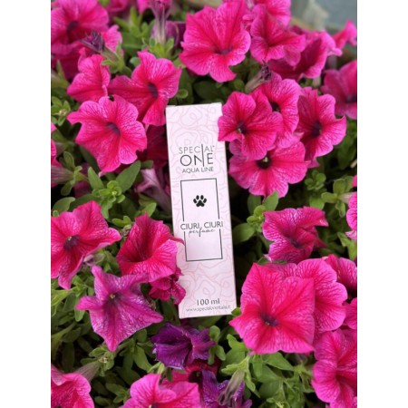 Ciuri Ciuri - Aqua Line