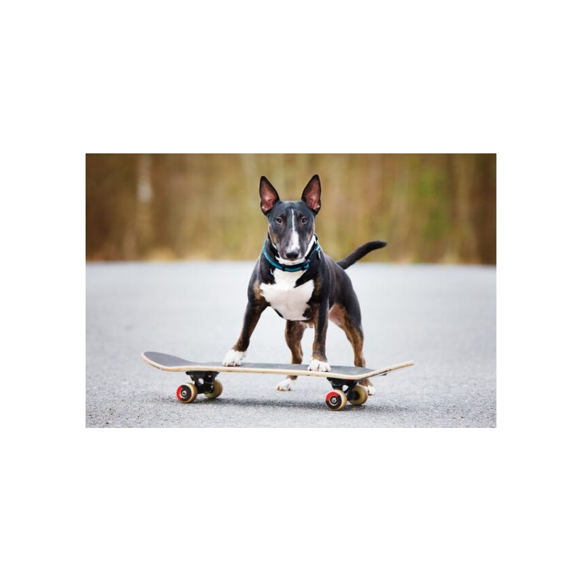 Rock Water - Perfume Line