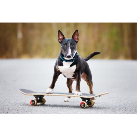 Rock Water - Perfume Line