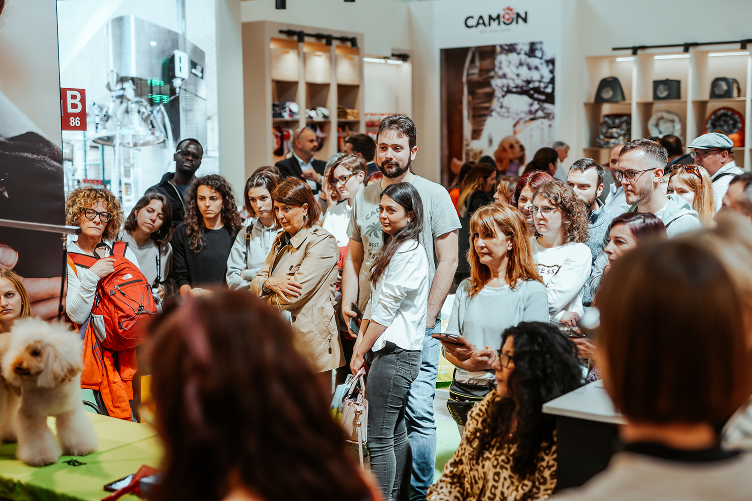 WORKSHOP SPECIALIZZATO IN CLASSI